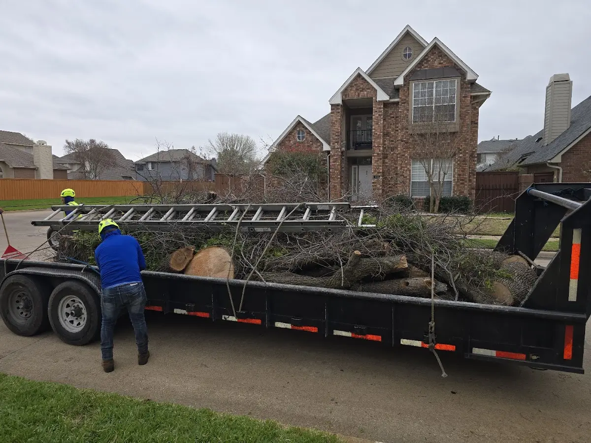 Expert Lot Clearing with proper safety equipment in Kearney